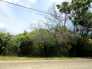 7180b.jpg
