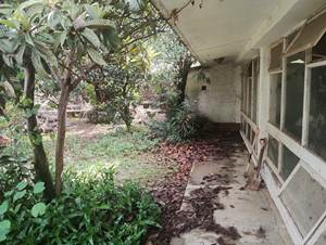 7231n.jpg