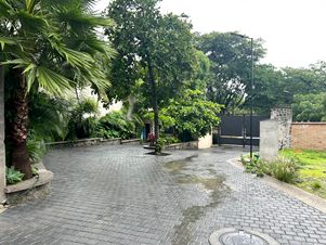 7238b.jpg
