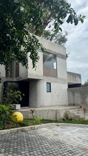 7239d.jpg