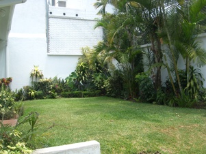 4177f.jpg