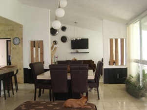 4177n.jpg